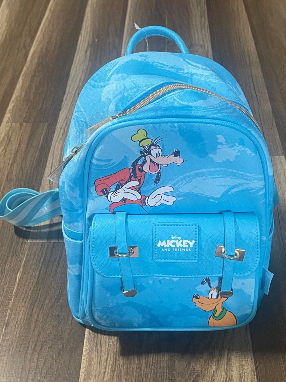 Disney Mickey and friends mini backpack Goofy and Pluto